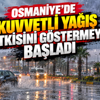 Yaşam