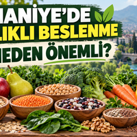 Sağlık