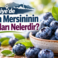 Osmaniye