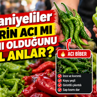 Yaşam