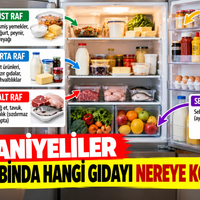 Yaşam