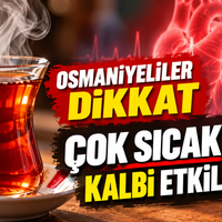 Yaşam
