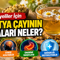 Sağlık