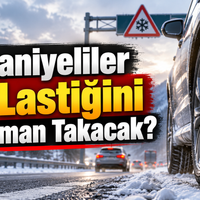 Yaşam
