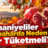Yaşam