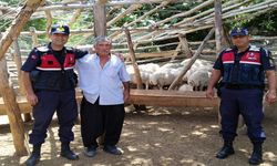 Gülnar'da Hayvan Hırsızlığı Yapan Şüpheliler Tutuklandı