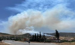 Kahramanmaraş’ta çıkan orman yangınına müdahale ediliyor