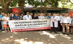 Antalya’da veteriner hekimler şiddete tepki amacıyla bir araya geldi