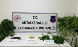 Antalya'da Yapılan Operasyonda Kenevir ve Uyuşturucu Madde Ele Geçirildi