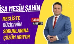 Düziçi'nde Elektrik Kesintisi Sorununa Milletvekili Şahin Mecliste Çözüm Arıyor