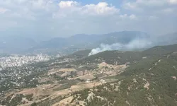 Düziçi'nde Üzümlü Mahallesi'nde Orman Yangını