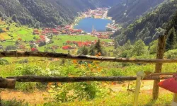 Trabzon'un Cenneti: Uzungöl