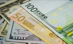 Dövizde Rekor Artış: Euro 31 Liranın Üzerinde, Dolar Kendi Rekoruna Yakın