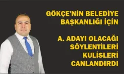 GÖKÇE'NİN BELEDİYE BAŞKANLIĞI İÇİN ADAY ADAYI OLACAĞI SÖYLENTİLERİ KULİSLERİ CANLANDIRDI