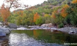 Osmaniye Karaçay Vadisi'nde Sonbaharın Renkleri