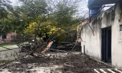 Düziçi'nde Şiddetli Rüzgar Felaketi: Çam Ağacı Evin Üzerine Devrildi