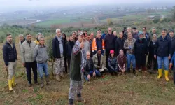 Düziçi'nde Zeytin Bahçesi Sahipleri Eğitimde: Verimlilik Artıyor!