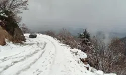 Osmaniye ve Adana'da Yüksek Rakımlı İlçelerde Gece Kar Yağışı Etkili Oldu