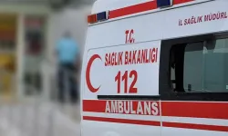 Rize Güneysu'da Sahipsiz Köpek Saldırısına Uğrayan 12 Yaşındaki Çocuk Hastaneye Kaldırıldı