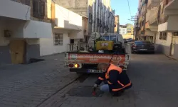 Şanlıurfa Büyükşehir Belediyesi, Vektör ve Haşere Kontrolünde Özveriyle Çalışıyor