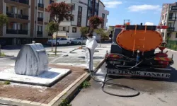 Gebze Belediyesi Temizlik İşleri Müdürlüğü, 'İşin Özü Temiz Çalışmak' İlkesiyle Başarıya Ulaşıyor