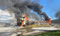 Mersin'de narenciye yüklü tırda çıkan yangın söndürüldü