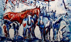 Ressam Kanber ‘Kervansarayların İzinde’