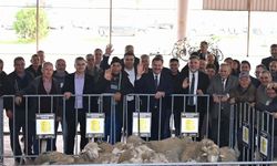 Balıkesir Büyükşehir Belediyesi'nden Üreticiye koç desteği