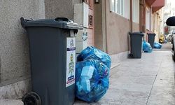 Geri Dönüştürülmüş Plastik Şişelerde Kimyasal Riski