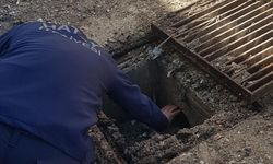 Hatay'da mazgalın altında mahsur kalan kediyi itfaiye kurtardı