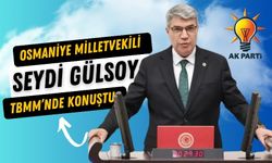 Osmaniye Milletvekili Gülsoy'dan TBMM'de Deprem Şehitlerini Anma ve İlerleme Raporu