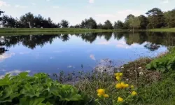 2025 Cemre Takvimi Belli Oldu! İşte Cemrelerin Düşme Tarihleri