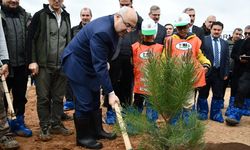 Adana ve Mersin'de Dünya Ormancılık Günü kapsamında fidan dikimi yapıldı