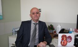 Dengeli tuz ve su tüketimi böbrek sağlığı için önem taşıyor