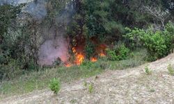 Kadirli Kızyusuflu Köyü'nden Orman Yangını çıktı