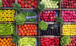 19 Kalem Yaş Meyve ve Sebze Alımı mal alımı ihale ilanı