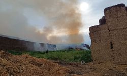 Adana'daki saman balyası yangını söndürüldü