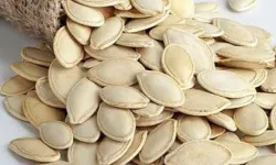 20 Ton Çiğ Kabak Çekirdeği Alım İhale İlanı