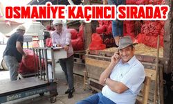 Türkiye'nin En Mutlu Şehirleri Açıklandı: Sinop Zirvede, Osmaniye Ortalarda