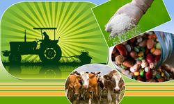 Osmaniyeliler’e 226 Milyon TL Tarımsal Destek Yatıyor