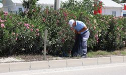 Hatay Büyükşehir Belediyesi ekipleri temizlik çalışması yaptı