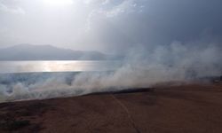 Isparta'da Eğirdir Gölü kıyısındaki sazlık alanda yangın çıktı