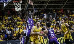 Türkiye Sigorta Türkiye Basketbol Ligi play-off final serisi