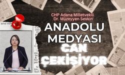 CHP'li Şevkin TBMM'ye Yerel Medya İçin Araştırma Önergesi Sundu