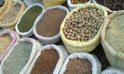Taklit ve Tağşişe Karşı Tüketici Gücü