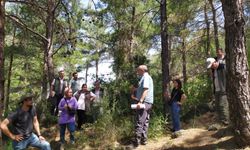 Düziçi Orman İşletme Müdürlüğü'nde 20 Yıllık Ekosistem Tabanlı Fonksiyonel Orman Amenajman Planı Çalışmaları Başladı