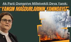 Osmaniye Milletvekili Derya Yanık’tan, Yangın Felaketi İçin Başsağlığı Mesajı