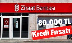 Ziraat Bankası'ndan 80.000 TL Kredi Fırsatı