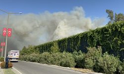 Adana'da ahşap panel fabrikasında çıkan yangına müdahale ediliyor