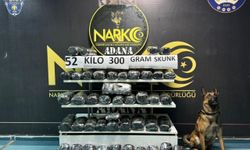 Adana'da pikaba gizlenmiş 52 kilo 300 gram skunk ele geçirildi